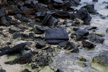 Rock cover with green moss on beach seashore. Nature landscape background. Summer travel...