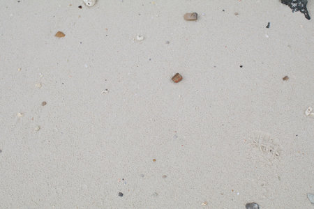 Beach Sand seashore with corals and seashells. Summer rough surface natural texture background.の写真素材