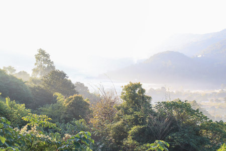 Fog covering the village in valley and the forest during the sunrise, mountain landscape mystical...