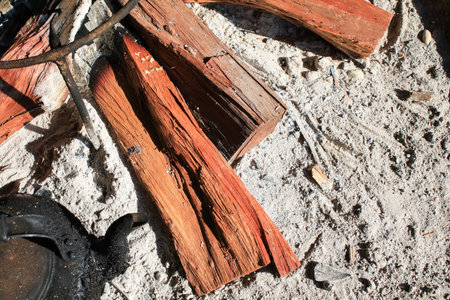 Bonfire wood burning under morning sunlight. Camping Traditional outdoor cooking. Vacation and...