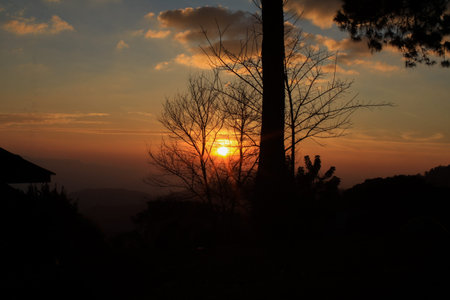 Silhouette tree with sunrise sky and cloud at morning on the mountain. Dramatic and majestic light. Beautiful scenic nature.の写真素材