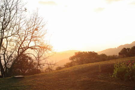Grassland with beautiful morning sunlight. Peaceful atmosphere of the mountain landscape.の写真素材