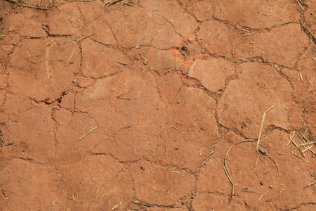 Dry land Cracked floor desert floor highlights the dry, Abstract textures created from nature.の写真素材