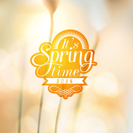 It s Spring Time typographic design with colourful backgroundのイラスト素材