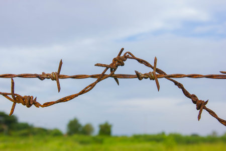 barbed wires against blue sky の写真素材