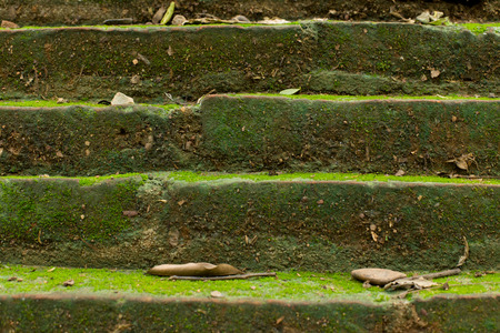 Brick textureの写真素材