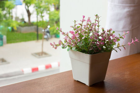 Flower pot by the window の写真素材