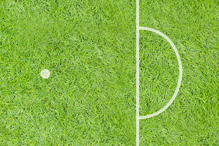 A realistic textured grass football   soccer fieldの写真素材