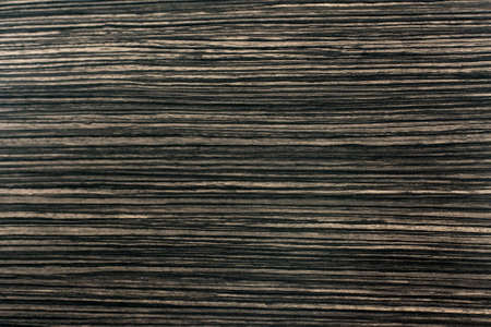 wood texture. background old panels.の写真素材