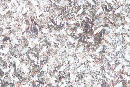 Grunge backgroundの写真素材