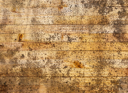wood texture/wood texture background.の写真素材