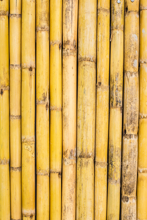 bamboo background textureの写真素材