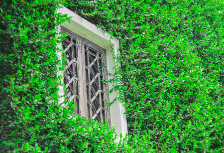 Window close up for background.の写真素材