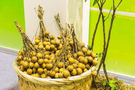 Fresh longan in basket .の写真素材