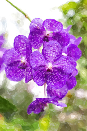orchids water color effect の写真素材
