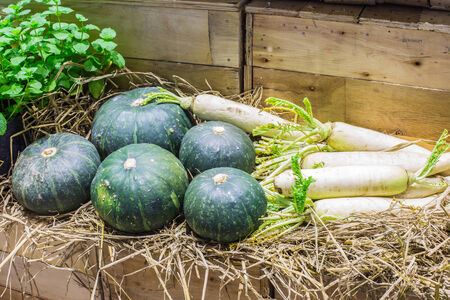 Assortment of fresh Vegetable on Shelves.の写真素材
