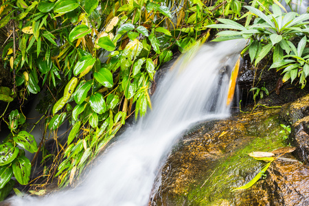 Wang Bua Ban waterfall in Doi Suthep-Pui Nationnal Park , Chiangmai.の写真素材