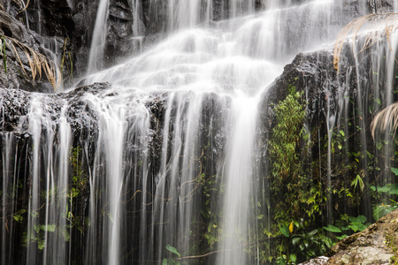 Wang Bua Ban waterfall in Doi Suthep-Pui Nationnal Park , Chiangmai.の写真素材