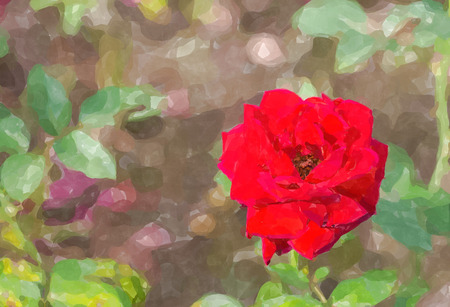 rose flower water color effect.の写真素材