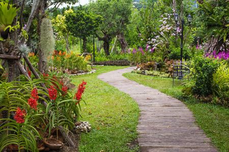 Pathway in garden design.の写真素材