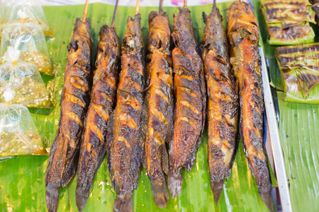 cat fish grill on green banana leaf.の写真素材