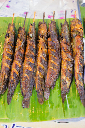 cat fish grill on green banana leaf.の写真素材