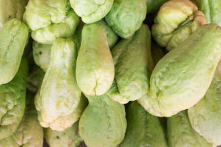 Pile of chayote fruits.の写真素材