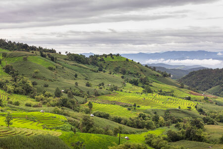 Green Terraced Rice Field in Chiangmai, Thailand.の写真素材