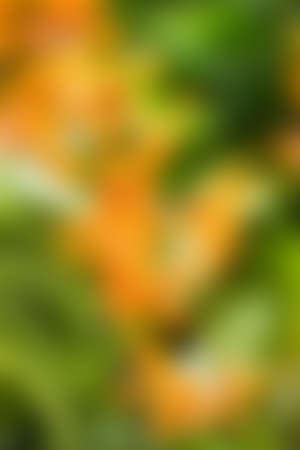 Abstract blur nature background.の写真素材