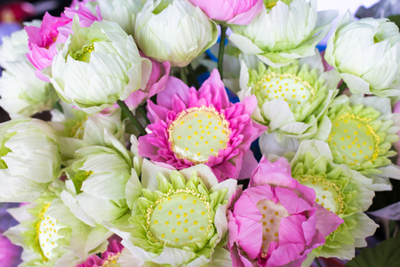 Paper lotus flower.の写真素材