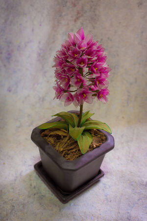 still life bogus flowers on painting background selected focus.の写真素材