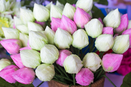 Paper lotus flower.の写真素材
