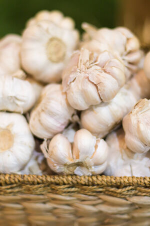 Garlic on the basket.の写真素材