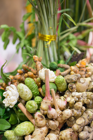 Thai herbs at marketの写真素材