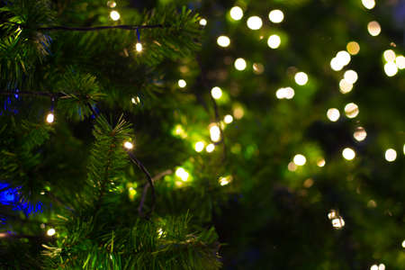 Defocused ligth of Christmas tree.の写真素材
