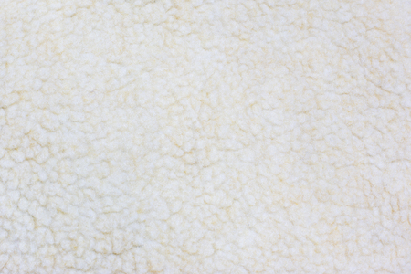 White sheep fur background.の写真素材
