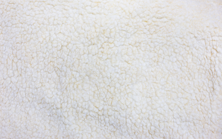 White sheep fur background.の写真素材