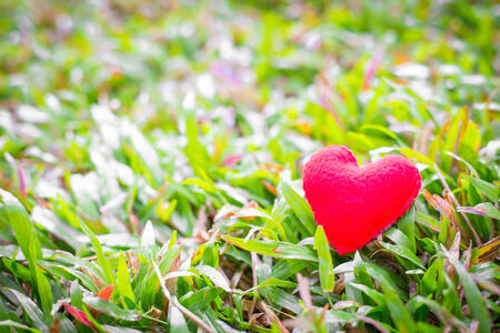 closeup of a red heart on the grass.の写真素材