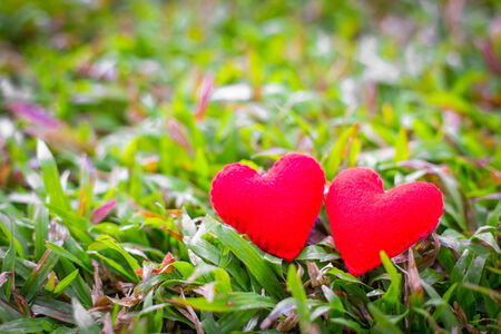 closeup of a red heart on the grass.の写真素材