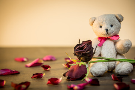 Roses and teddy bear for love in valentine, vintage styleの写真素材