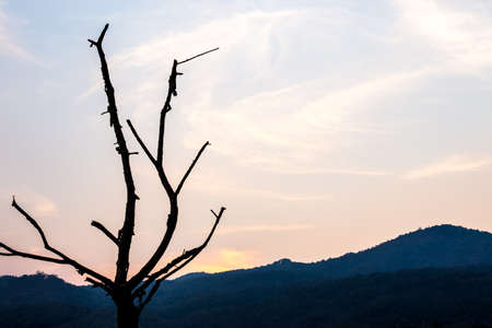 sky with clouds in the evening.の写真素材