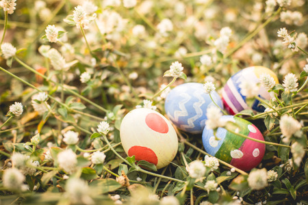 colorful Easter egg in the fresh spring meadow.の写真素材