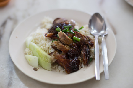 Chinese roast duck, sliced restaurant presentation, asian cuisine.の写真素材