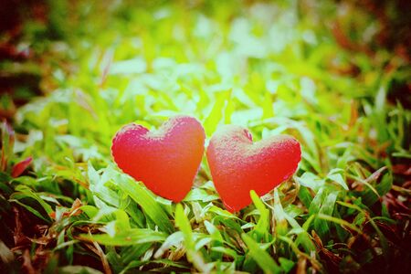 closeup of a red heart on the grass, vintage retro style.の写真素材