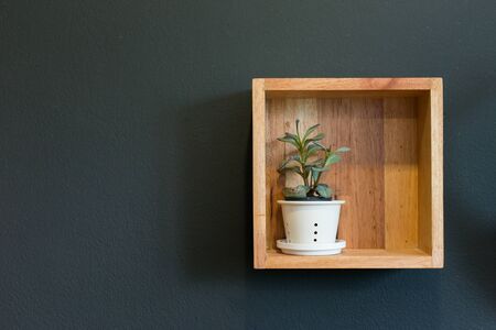flowers arranged in the corner of a wooden box.の写真素材