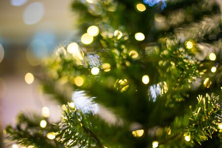 bokeh light on christmas tree, blurred background.の写真素材