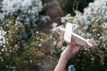 close-up of Hand holding a wooden airplane plane on white flower.の写真素材