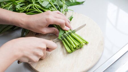 Cook's hands preparing vegetable salad - closeup shotの写真素材