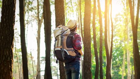 Young Man standing alone in forest outdoor with sunset nature on background Travel Lifestyle and survival concept.の写真素材