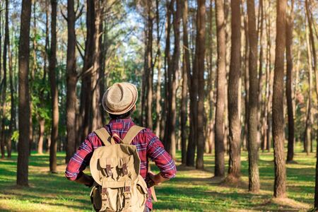 Young Man standing alone in forest outdoor with sunset nature on background Travel Lifestyle and survival concept.の写真素材